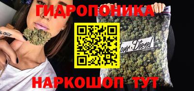 ECSTASY Кимры