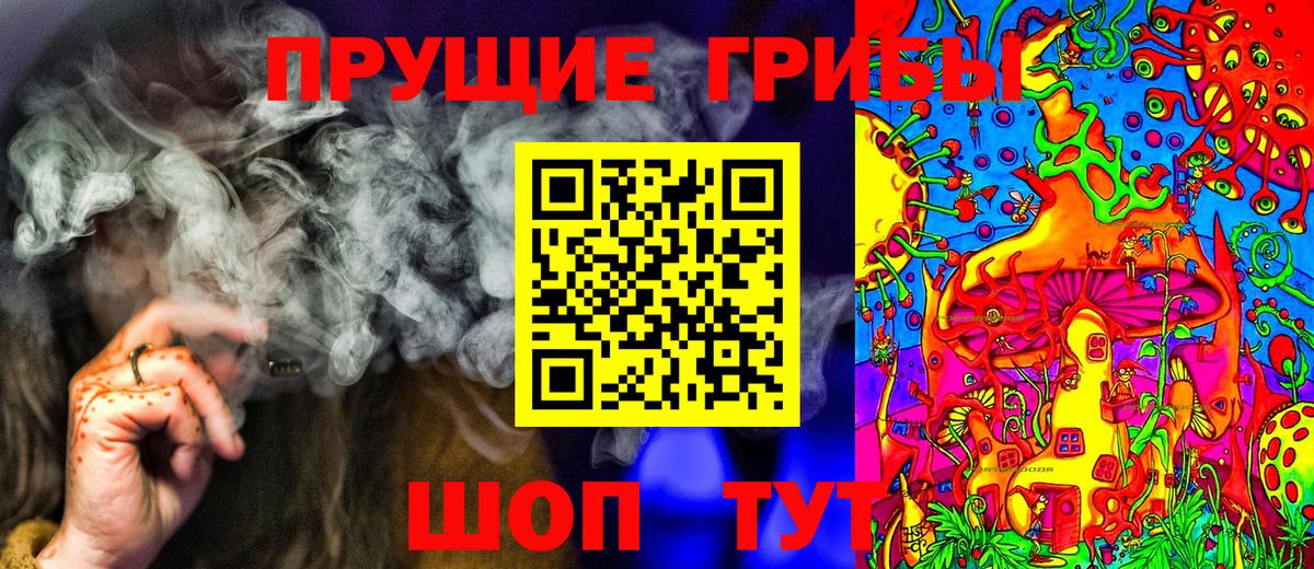 Котлас  Галлюциногенные грибы мицелий  Вход с VPN 